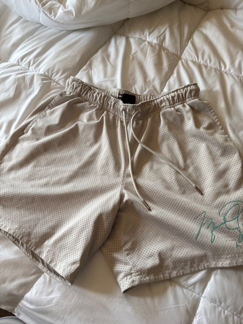 Jordan Beige Mesh Shorts